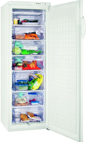 Zanussi Zanussi ZFU 628 WO1